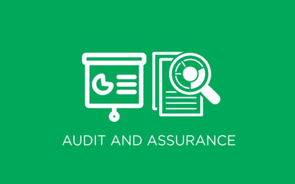 Audit and Assurance