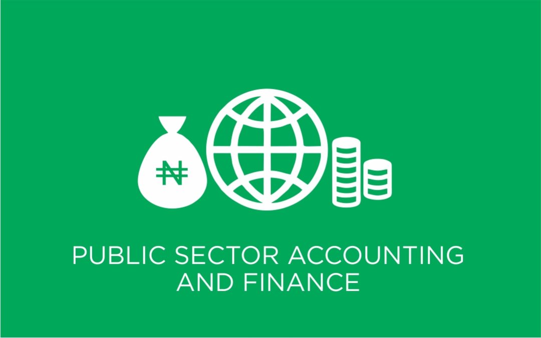 Public Sector Accounting and Finance 321 Study