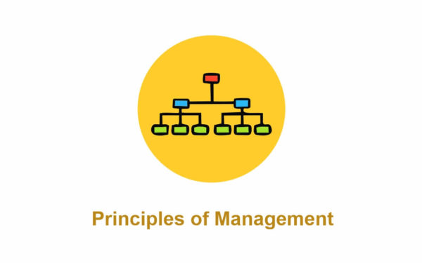 Principles of Management